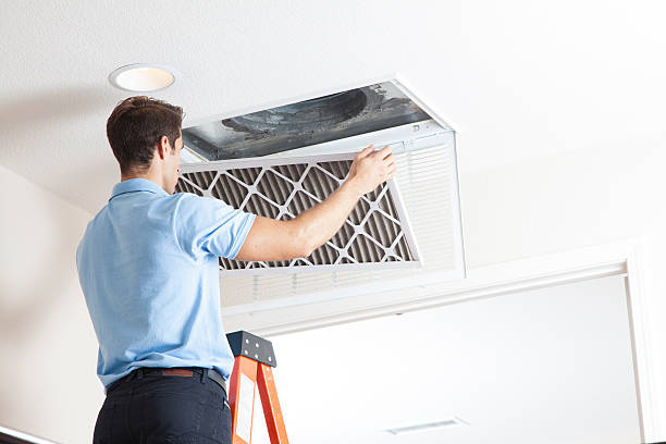 Best Solar-powered HVAC Systems in South Holland, IL